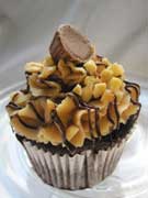 peanutbutter cup